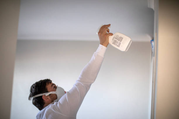 Best Black Mold Remediation in Albion, MI